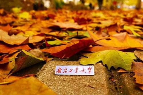 南京工業大學 百廿育才，鑄就科技與產業輝煌——慶祝建校119周年